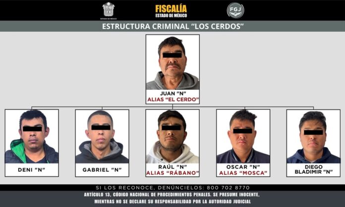 los cerdos