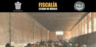 Entrega FGJEM a Gobierno estatal ganado asegurado en Otumba por abigeato