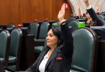 Sentencias de custodia justas evitan que el futuro de la niñez sea vulnerado: Carmen De la Rosa