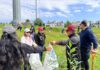 Supervisan Toluca y CFE plantaciones de árboles en Las Torres