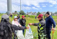 Supervisan Toluca y CFE plantaciones de árboles en Las Torres