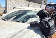Combate al robo de autos en Toluca rinde frutos: recuperan 571 unidades y arrestan a 354 sospechosos